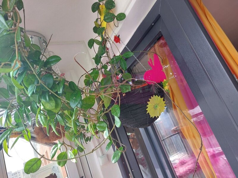 Garsionera mobiliata, metrou Grigorescu, la pret extraodinar